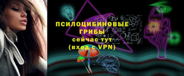 крисы Баксан