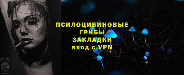 тгк Балахна