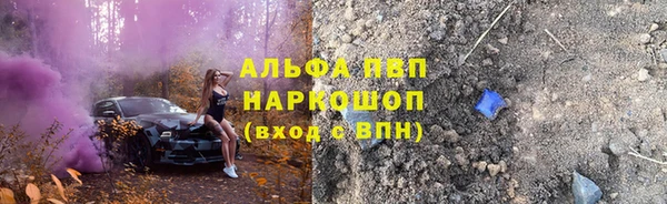 крисы Баксан